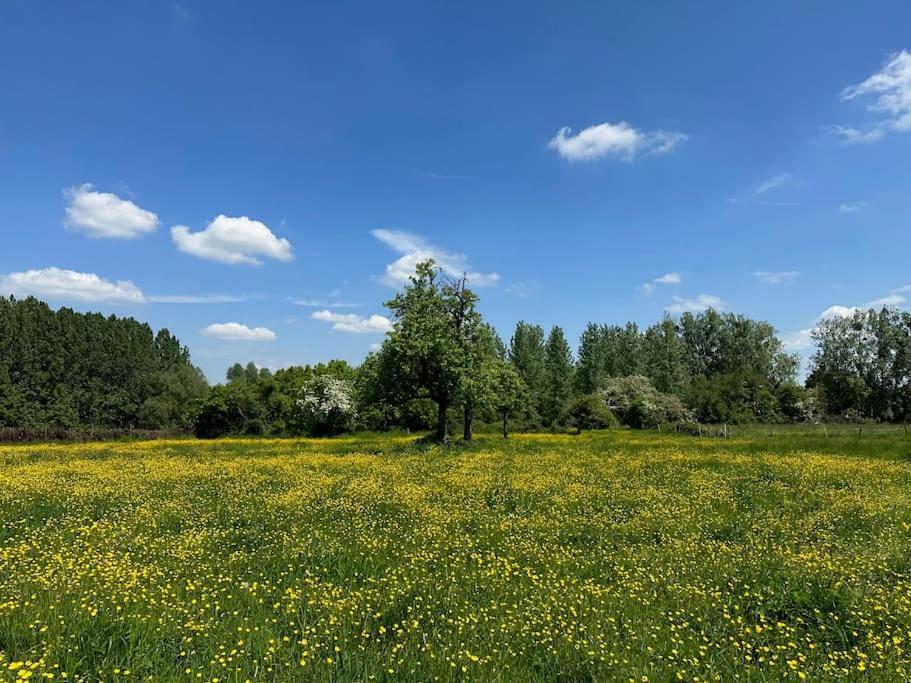 Vakantiewoning Hoogveld Kortessem Exteriér fotografie