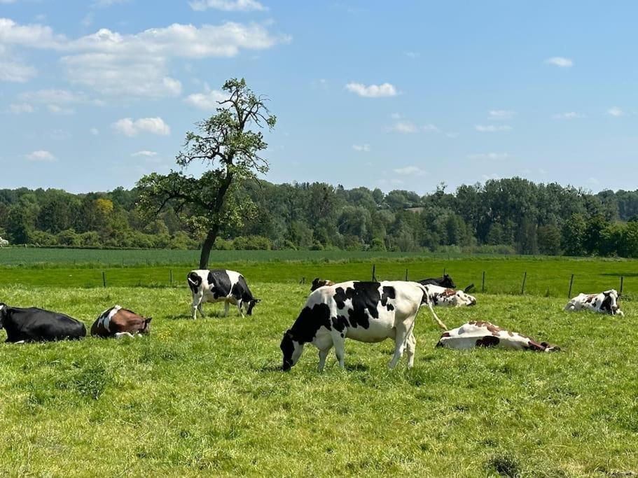 Vakantiewoning Hoogveld Kortessem Exteriér fotografie