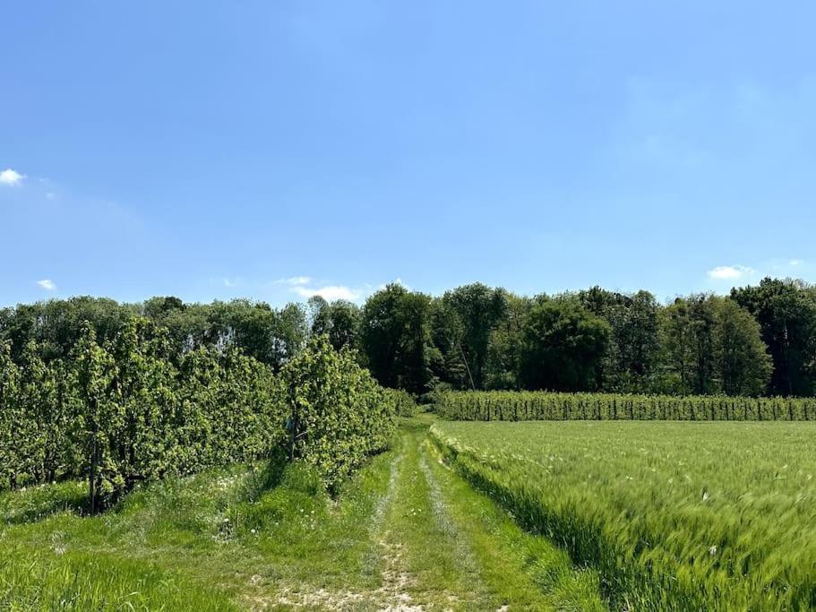 Vakantiewoning Hoogveld Kortessem Exteriér fotografie