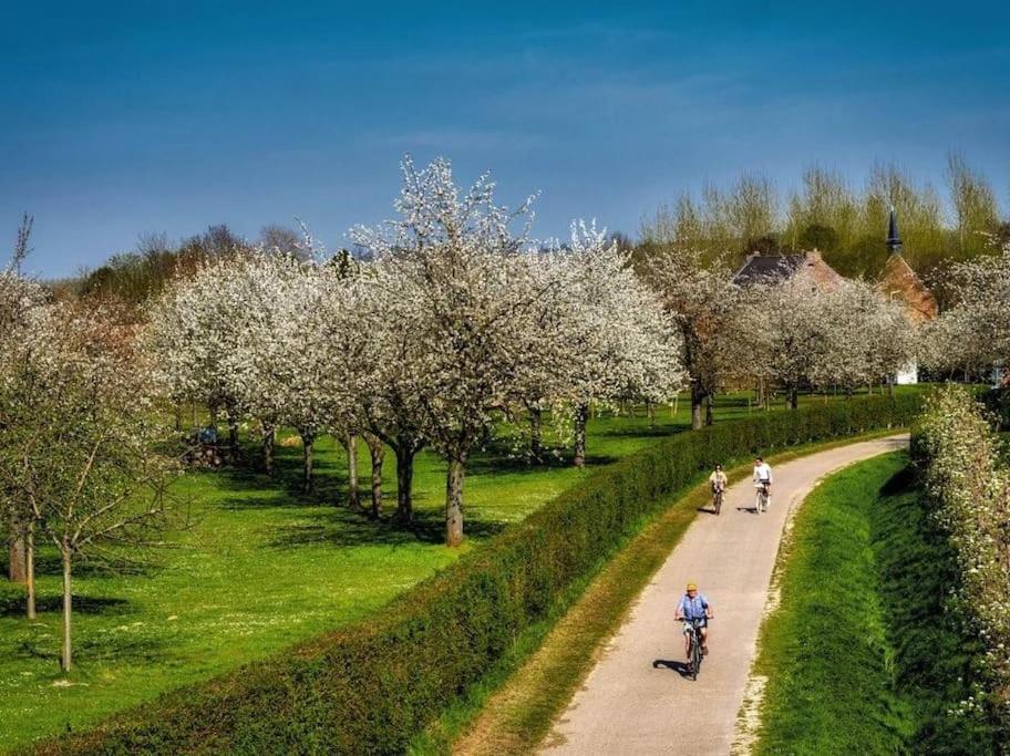 Vakantiewoning Hoogveld Kortessem Exteriér fotografie